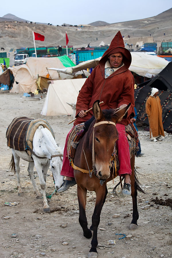  Berber man selling his mules at the Imilchil market